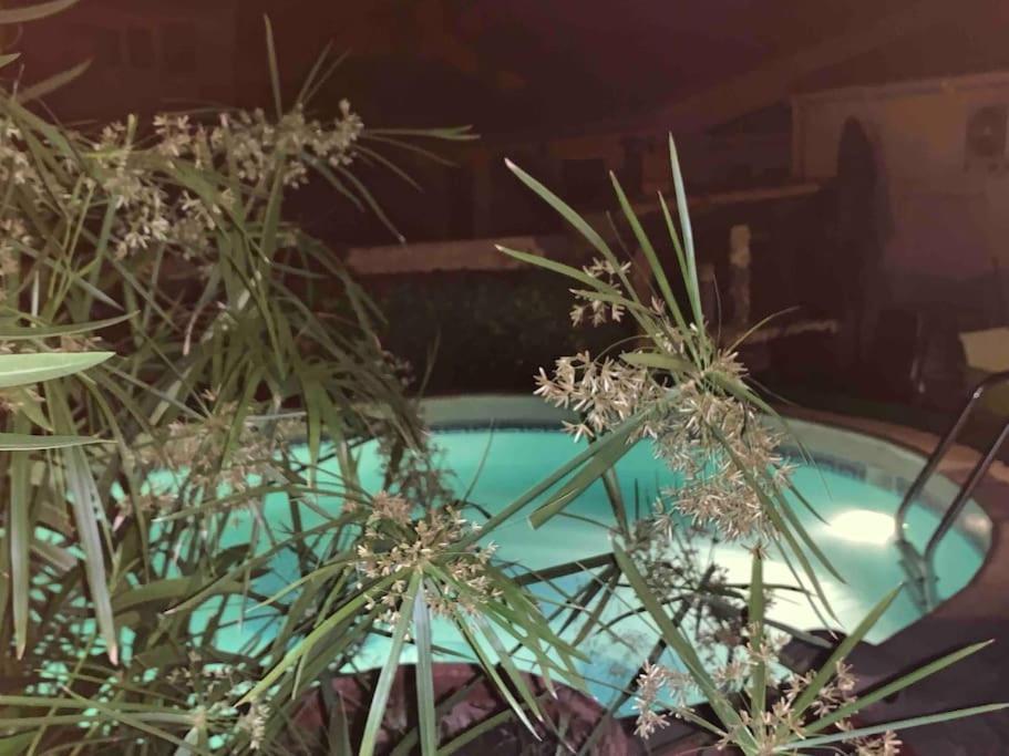 Piscine Cosy, 3 Chambres, 3 Sdb, Havre De Paix A 10 Min Des Plages 莫吉奥 外观 照片