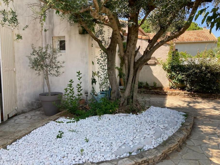 Piscine Cosy, 3 Chambres, 3 Sdb, Havre De Paix A 10 Min Des Plages 莫吉奥 外观 照片